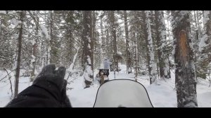 Тайга ошибок не прощает.1 часть... ДВА Брп 600 .....4х такт../Поларис 500Lx Испытывает мои нервы.