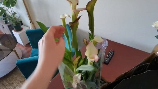 ШОППИНГ ВЛОГ Massimo Dutti /ПОКУПКА ПОДАРКА /ИДЕМ НА ДЕНЬ РОЖДЕНИЕ БЛИЗКОЙ ПОДРУГИ / YuliaSpain смотреть онлайн