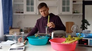Отжим вялого сельдерея в двухшнековой соковыжималке Angel Juicer Angelia 5000 (черновой тест)