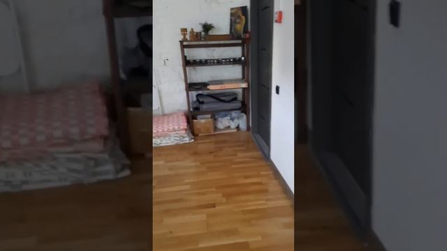 Йога - здоровый образ жизни! #аишка #чихуахуа #чихуашка #dog #happy