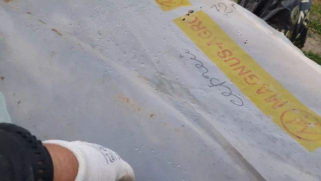 Технология производства саженцев малины с ЗКС смотреть онлайн