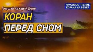 Красивый Коран Перед Сном ? Слушайте красивое чтение на вечер