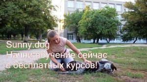 "Лежать" - обучение курцхаара.  Как быстро научить щенка лежать? "Лежать"- методы обучения