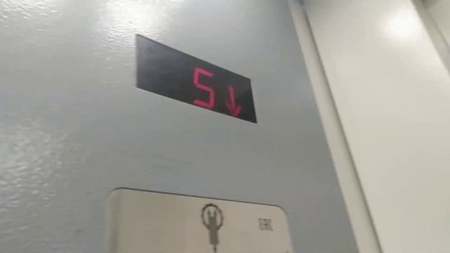 (w/ QantivirusP) 4х лифта ЩЛЗ EcoMaks @ Ул. Мусы Джалиля 8 кор. 1 смотреть онлайн