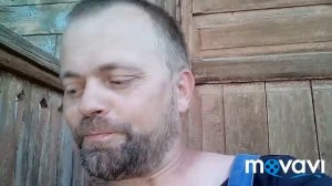 Крашеные цыплята. Афера для д......лов.