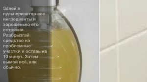 Как избавиться от плесени в ванной?