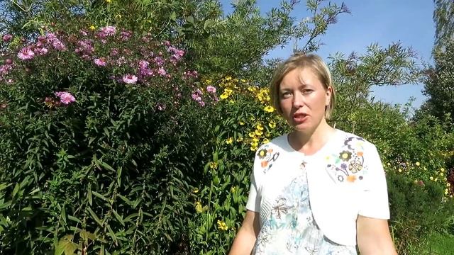10 многолетников для новичков / Самые простые в уходе и красивые цветы!