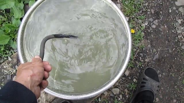 МЁРТВАЯ, ДОЖДЕВАЯ ВОДА. смотреть онлайн