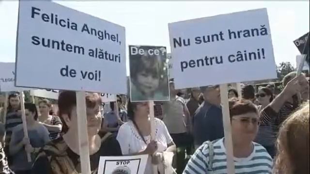 В Румынии бродячих собак будут усыплять смотреть онлайн