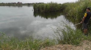 Рыбалка на карпа. Ловля на поплавочную удочку. Секреты лова.