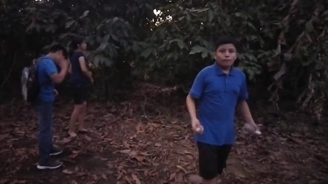 Spot Publicitario de Repelente Casero marca EAM смотреть онлайн