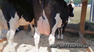 Откуда берет начало молочная река_ Найди источник!