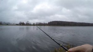 2021 Sportex Neowave ULR AW2300