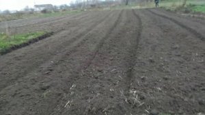 Беларусь/ Садим Чеснок и Лук на Зиму/ Второй Огород
