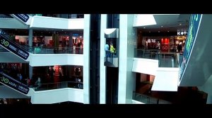 Muse (НА РУССКОМ) - Господство (Supremacy)