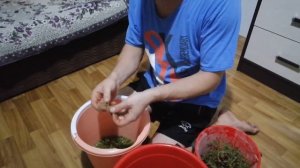 Виноградный сок в домашних условиях.