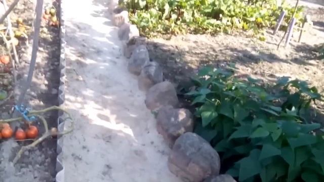 Грядка с бетонными бортиками смотреть онлайн