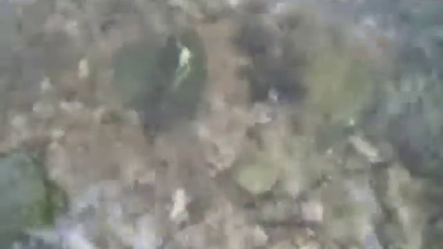 "Край родной, навек любимый" - Мария Кириллова и Марина Соснина смотреть онлайн