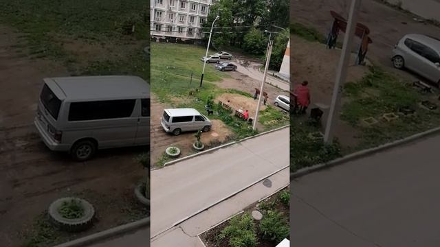 Отправить почему собака без намордника и без поводка