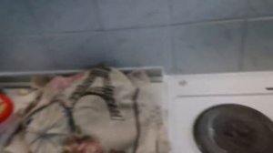 Стручковая фасоль на зиму в банках