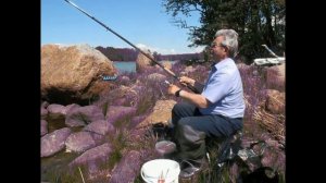 Рыбалка под Выборгом.  в Ландышевке 11 июня 2022.