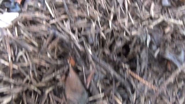 Szürkéslila pereszke I. - '19. 11. 21. - Üröm смотреть онлайн