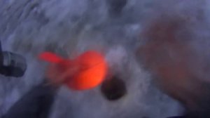 Рыбалка Пионерский пруд 20.12.2014