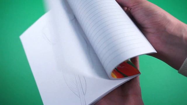 Самые красивые блокноты - Lady book Funny смотреть онлайн