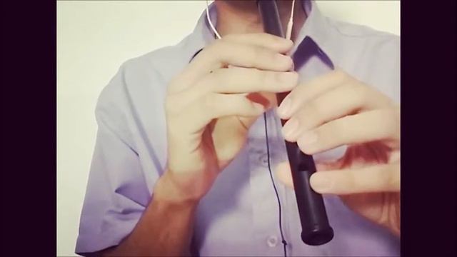 Scarborough Fair - Tin Whistle C смотреть онлайн
