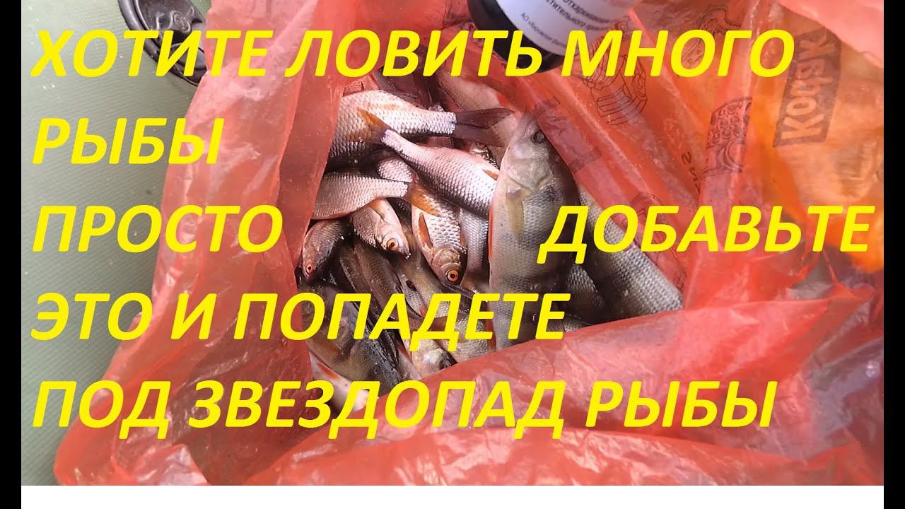ДОБАВИЛ СОЛОДКУ В ПРИКОРМКУ И ПОЙМАЛ МЕШОК РЫБЫ, РЫБА КЛЕВАЛА КАК ОДУРЕВШАЯ, БЕЗ ОСТАНОВКИ.