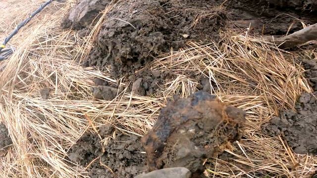 Металлокоп  2023 открытие сезона #копметалла #коп #металлопоиск #металлокоп