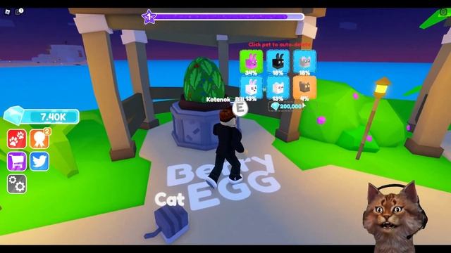 Приключения Питомцев Роблокс Pet Adventures Roblox