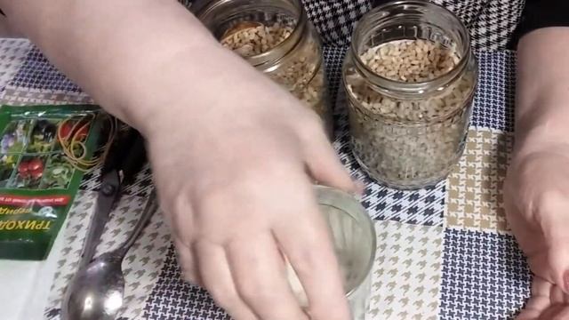 Как вырастить триходерму для растений дома и для чего это нужно смотреть онлайн