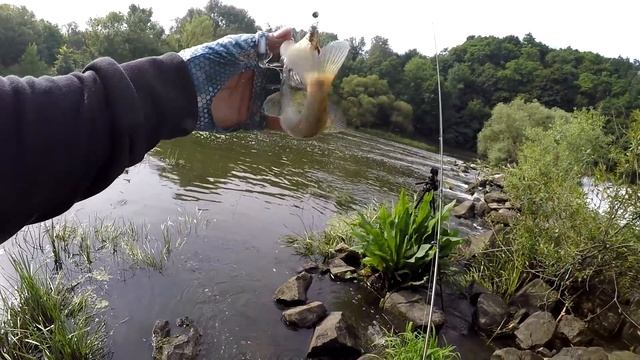 НЕОЖИДАННЫЙ УЛОВ во время городской рыбалки. Стритфишинг летом в жару. Favorite Team. смотреть онлайн