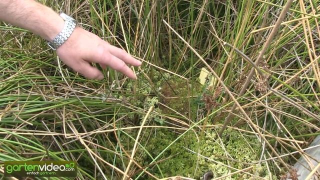 Torfabbau: Die Bulttorfmoose Teil 4 смотреть онлайн