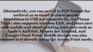 Review The Canon Pixma TS307  a single-function inkjet printer one moment and a 2-in-1 printer