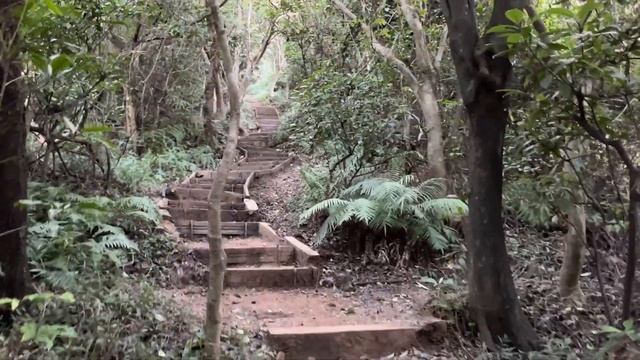 台灣驚人的美景，輕鬆健行之台北劍潭山步道 | 旅行 смотреть онлайн