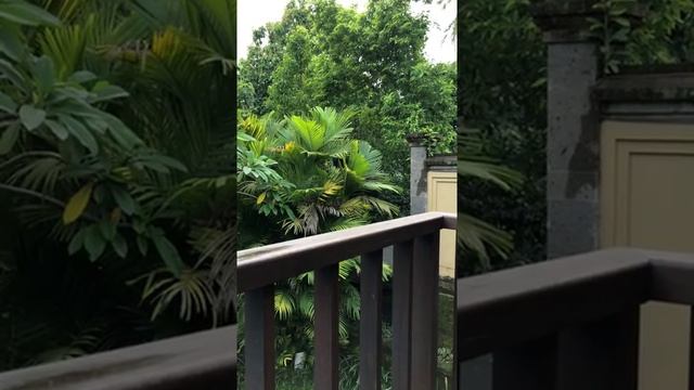 Прямой эфир - ответы на вопросы – Предназначение быть Женщиной смотреть онлайн