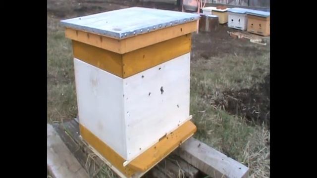 18 марта 2019 первая пыльца с вербы смотреть онлайн