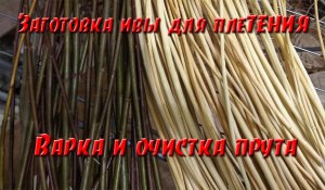 Заготовка ивы для плетения. Варка и очистка прута в домашних условиях