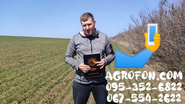 Стимулятор роста пшеницы ?Гумат Калия  Ярило? Листовая подкормка для ячменя ?AGROFON