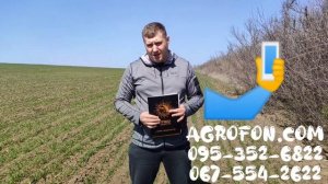 Стимулятор роста пшеницы ?Гумат Калия Ярило? Листовая подкормка для ячменя ?AGROFON