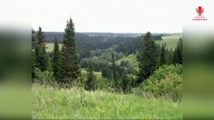 ♪ ОЙ ТИ ЧЕБЕР НЫЛЪЁС Анатолий Эркишев (КАРАОКЕ)