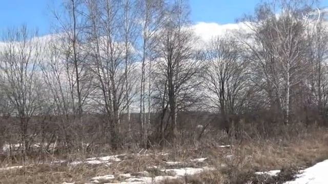Эту музыку можно слушать бесконечно #красиваямузыка #музыка #длядуши