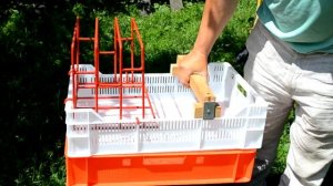 Всего 10$ за стол для распечатки рамок. Своими руками.