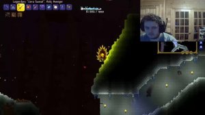 Michaelightning Streams Modded Terraria Solo #10