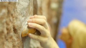 Скалодром - место встреч и интересных знакомств (Школа Скалолазания BigWall)