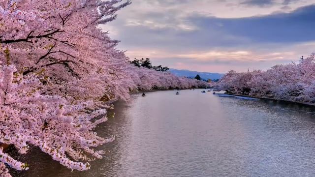 Что значит любить? смотреть онлайн