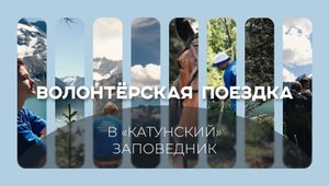 Волонтёрская поездка в «Катунский» заповедник