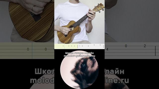 #pedropedro #укулелекавер #урокиукулеле #укулелеонлайн #гитараонлайн #школагитары #педро #shorts